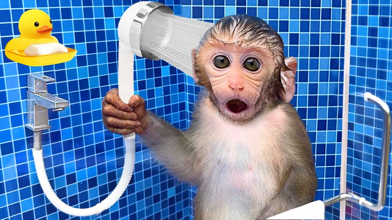 Monkey Baby Bon Bon Bathing In The Bathroom With Eating Fruit With Ducklings Side Swimming Pool img